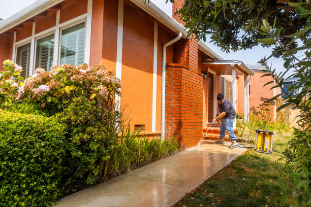 Best Roof Power Washing Services  in Mora, MN